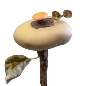Dual Guard Mycorrhizal